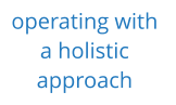 operating with  a holistic  approach